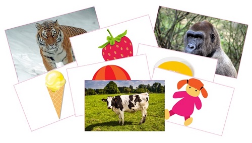 Trinity Stars flashcards